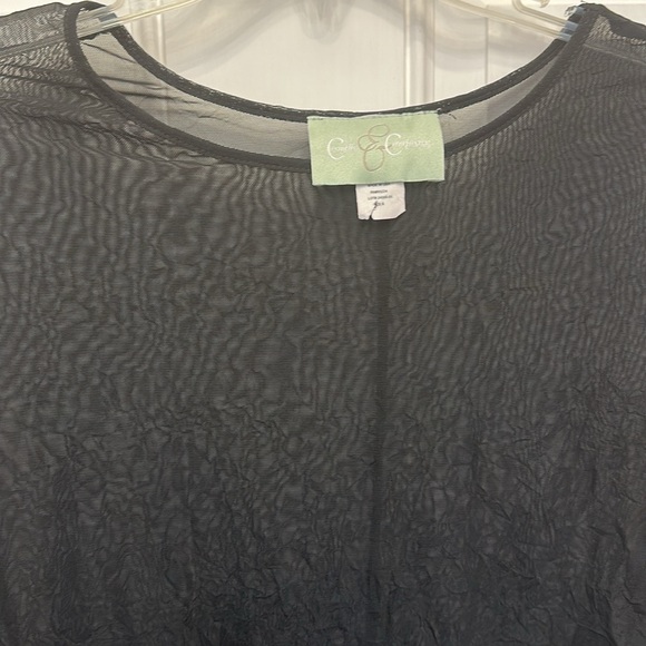 Black Sheer mesh- long sleeve-small - Picture 2 of 4
